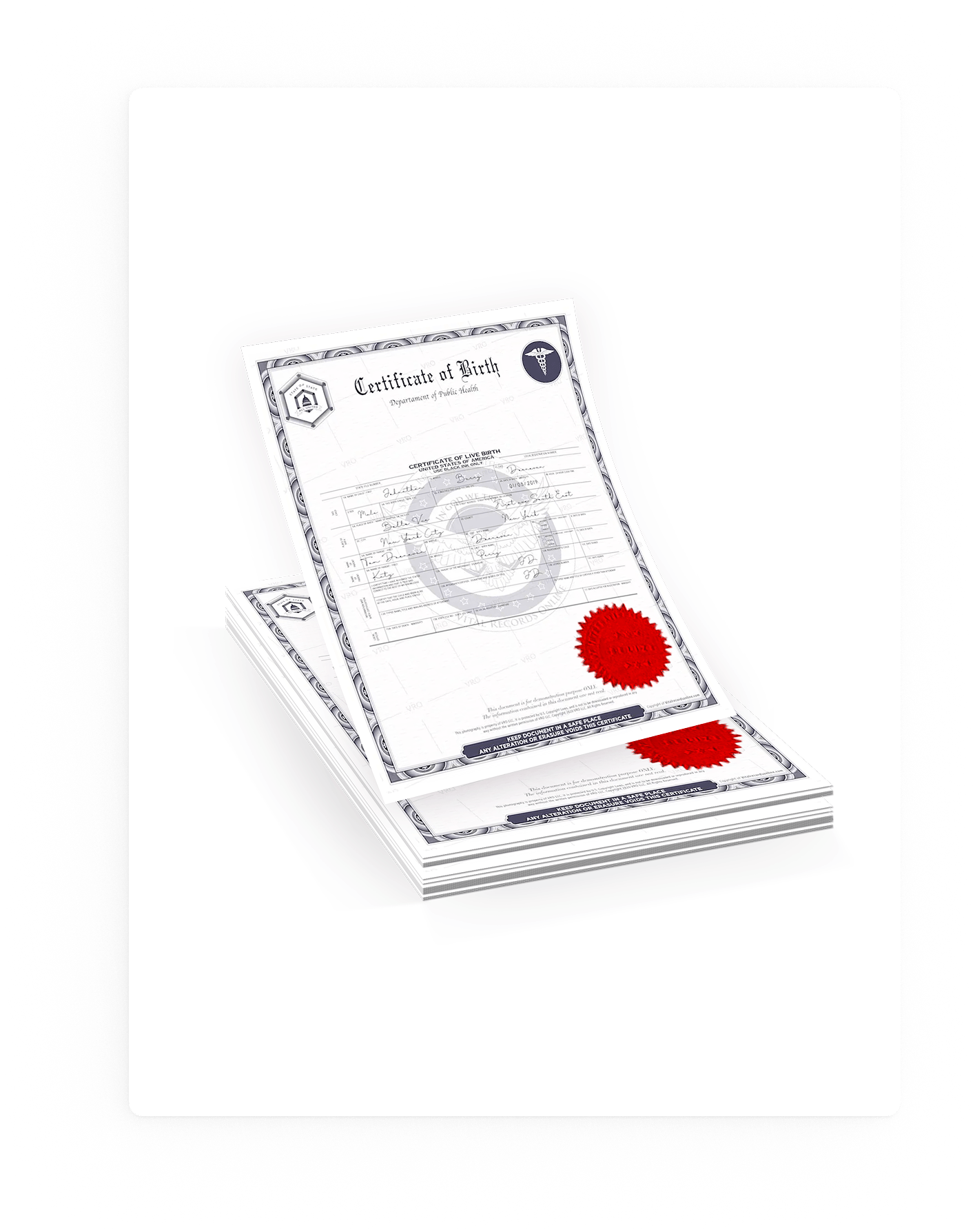 documentos de registros vitales para apostillar