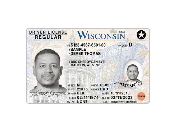 drivers license sample