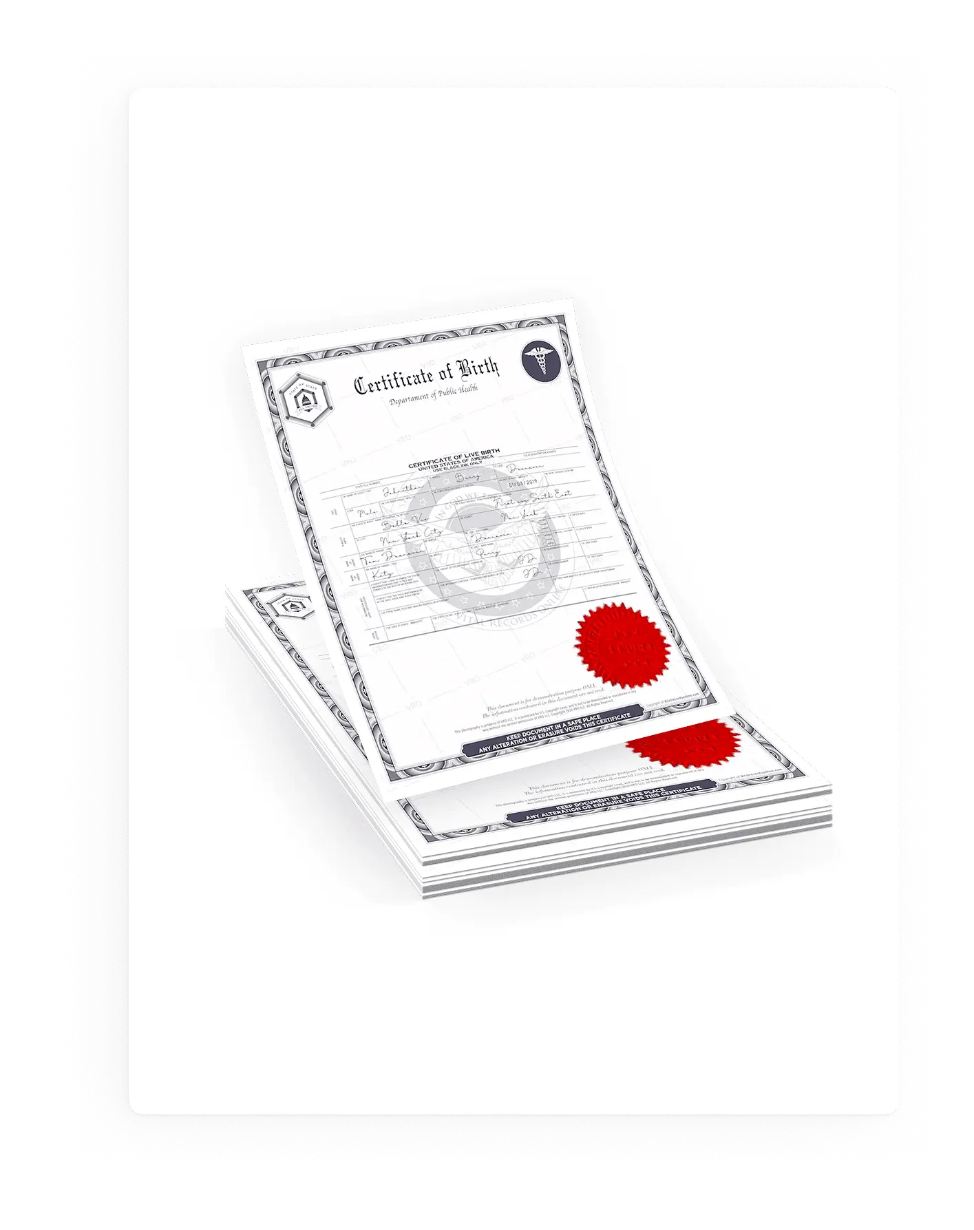 apostille vital records documents