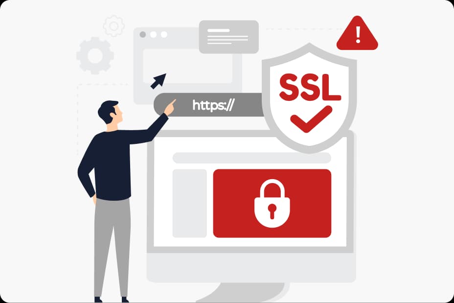 256-bit SSL encryption protecting data in transit
