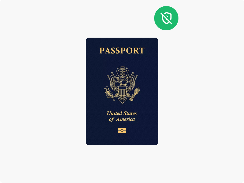 stolen passport icon