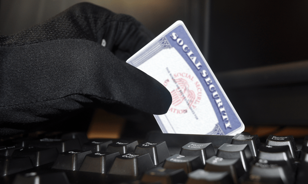 What to Do If Your Social Security Card is Stolen?